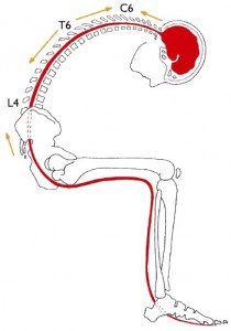 image4